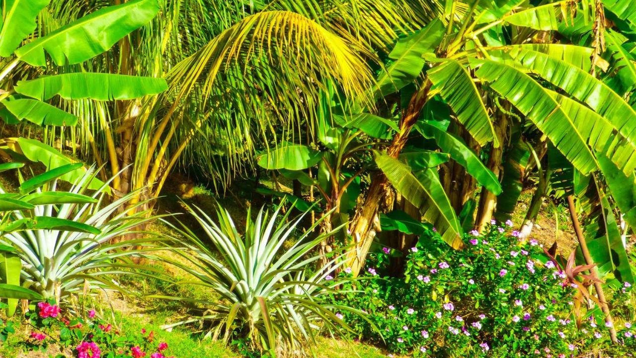Mouggae Blues Villas Beau Vallon (Mahe) Exterior foto